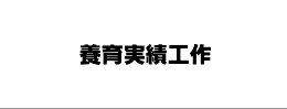 養育実績に関するお悩みの解決