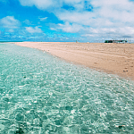 コラムニスト 工作員10 浅見