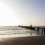 コラムニスト 相談員01 橋本