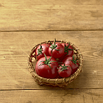 コラムニスト 相談員02 渡辺