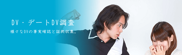 DV・デートDV調査 様々なDVの事実確認と証拠収集。